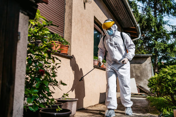 Professional Pest Control in Anderson, MO