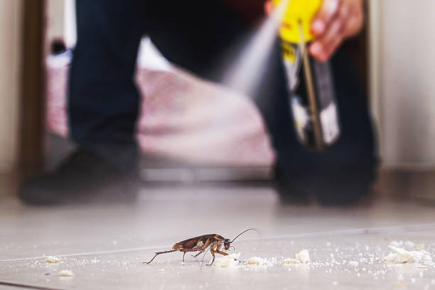 Best Cockroach Control Services  in Anderson, MO