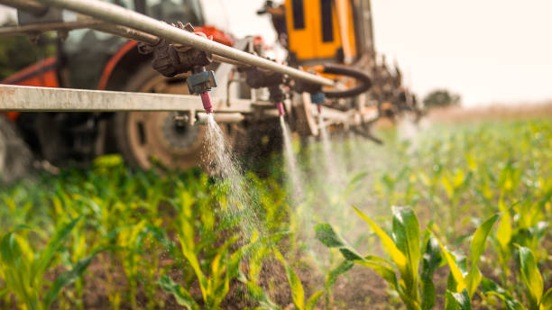 Best Mosquito Control Services  in Anderson, MO