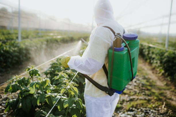 Best Bed Bug Extermination  in Anderson, MO